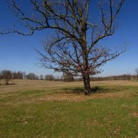 PRIME Building Rolling Hill Tracts Choctaw County OK Tract 5 images 3