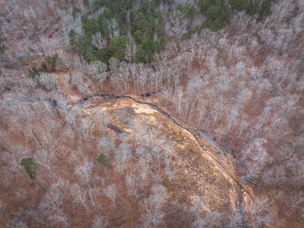 Young Timber Tract 38 B featured image