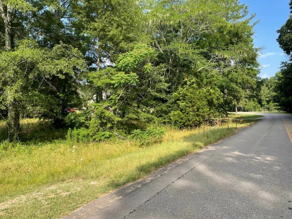 Tract 3 5.15 Acre Homestead in Lawrence Co. AL featured image
