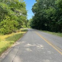 Tract 3 5.15 Acre Homestead in Lawrence Co. AL images 2