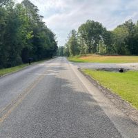 Tract 3 5.15 Acre Homestead in Lawrence Co. AL images 3