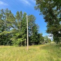 Tract 3 5.15 Acre Homestead in Lawrence Co. AL images 4