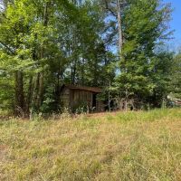 Tract 3 5.15 Acre Homestead in Lawrence Co. AL images 5