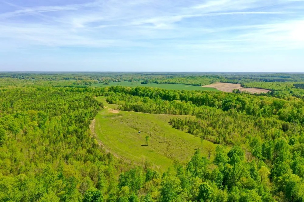 223 Acre Hunting Property is Whitetail Rich Henry County featured image