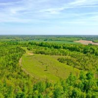223 Acre Hunting Property is Whitetail Rich Henry County