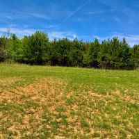 223 Acre Hunting Property is Whitetail Rich Henry County images 2
