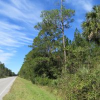 Fort McCoy Timber Hunting images 2