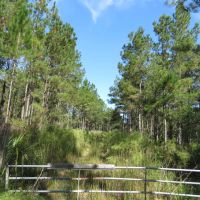 Fort McCoy Timber Hunting images 3