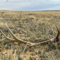 BLM RD 3203 - 40 acres - Sweetwater County images 4