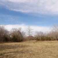 230 ACRES OF PRIME HUNTING AND RECREATIOAL PROPERTY images 2