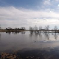 230 ACRES OF PRIME HUNTING AND RECREATIOAL PROPERTY images 3