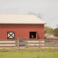 S W Horse Farm images 3