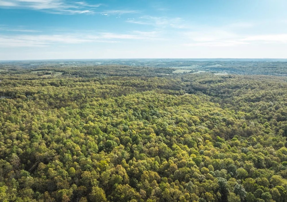 Quillen Branch 255 featured image