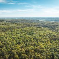 Quillen Branch 255 images 1