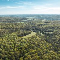 Quillen Branch 255 images 2