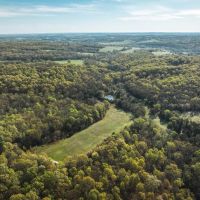Quillen Branch 255 images 3