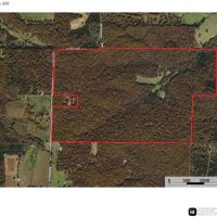 Quillen Branch 255 images 4