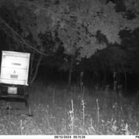Wildcat Creek 1889 images 5