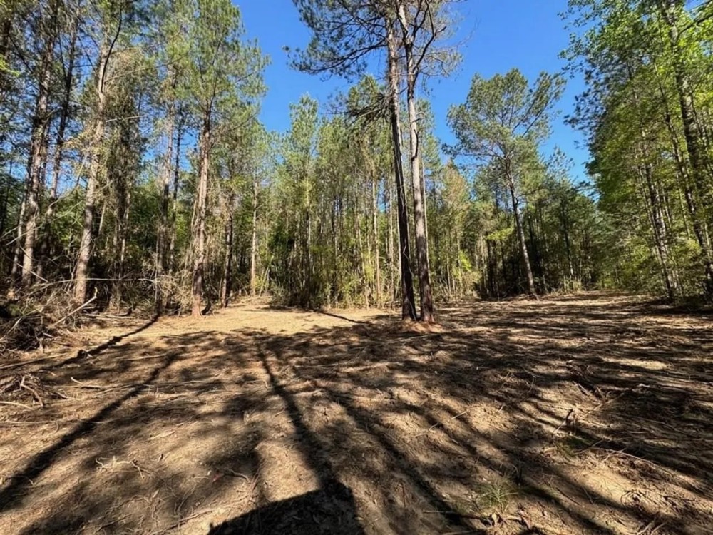 Small Homesite with Acreage in Amite County MS featured image