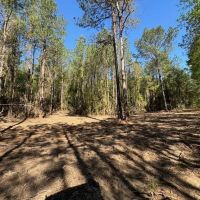 Small Homesite with Acreage in Amite County MS
