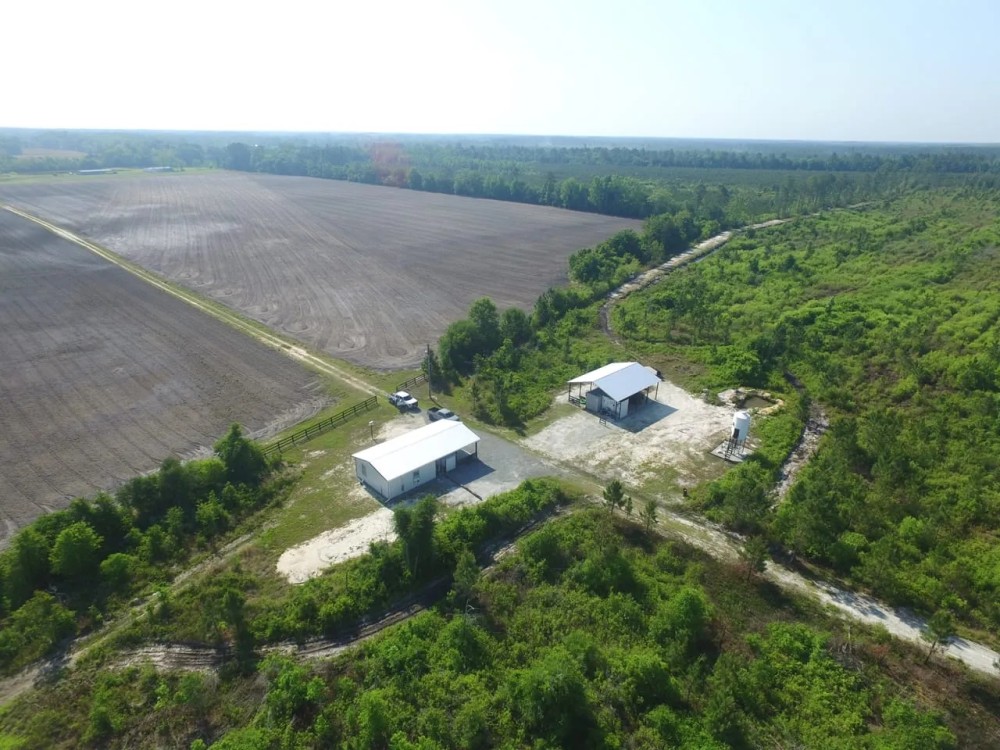 Wayne County turn key hunting featured image