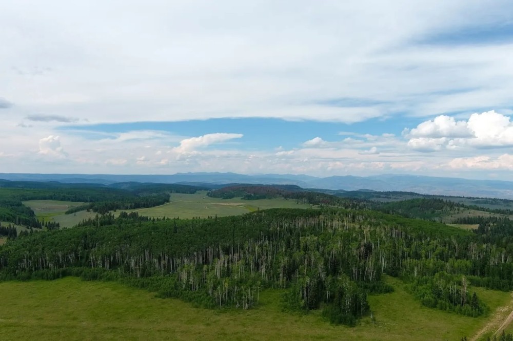 Arrowhead Alpine Ranch featured image
