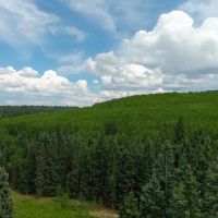 Arrowhead Alpine Ranch images 5