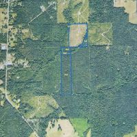 Jackson Parish Timber Tract 6-11
