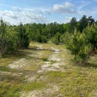 Jackson Parish Timber Tract 6-11 images 5
