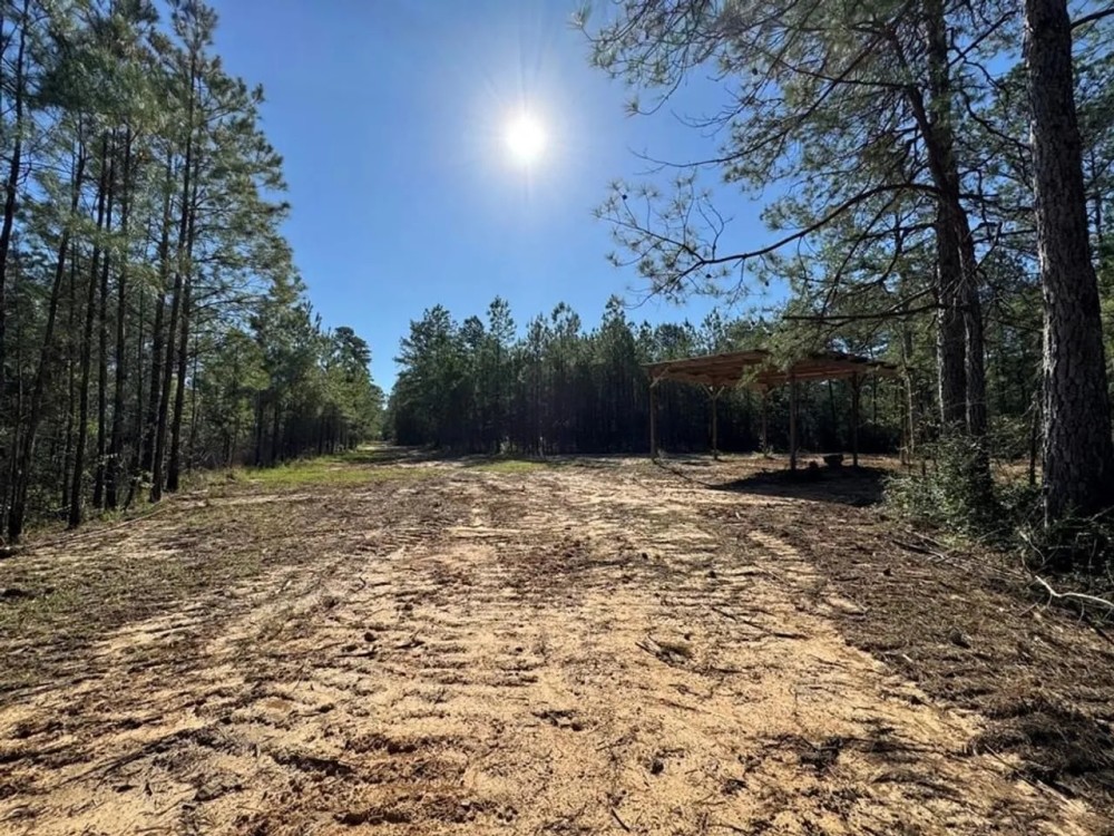 Small Hunting Tract in Amite County MS featured image