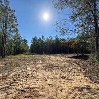 Small Hunting Tract in Amite County MS
