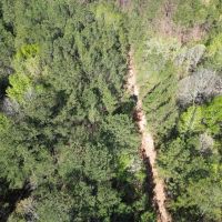 Small Hunting Tract in Amite County MS images 3