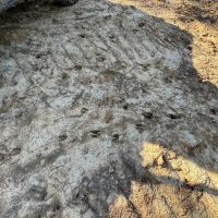 Small Hunting Tract in Amite County MS images 5