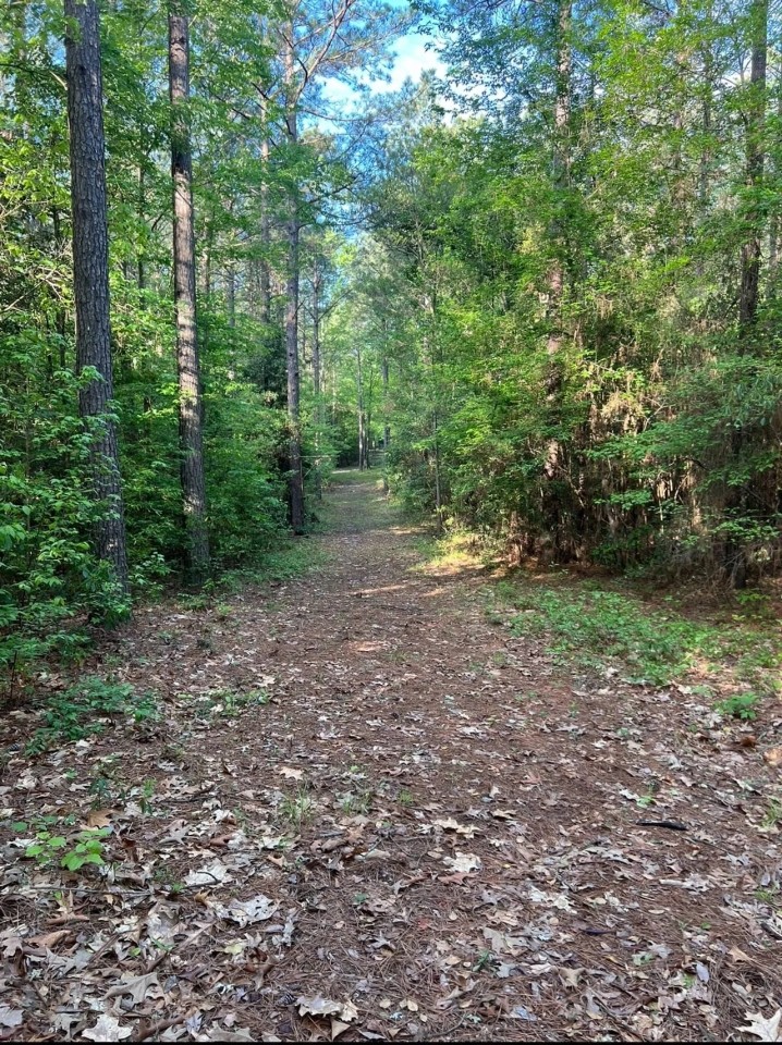 Jackson Parish Timber Tract 3 featured image