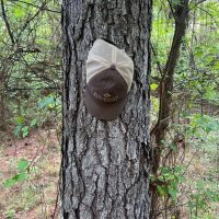 Jackson Parish Timber Tract 3 images 3