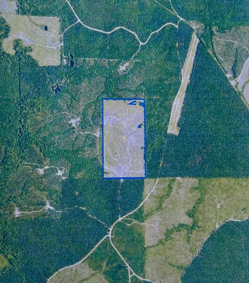 Jackson Parish Timber Tract 4 featured image