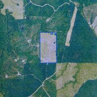 Jackson Parish Timber Tract 4