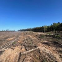 Jackson Parish Timber Tract 4 images 2