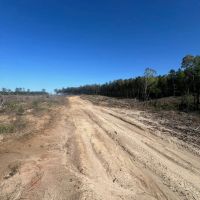 Jackson Parish Timber Tract 4 images 3
