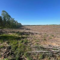 Jackson Parish Timber Tract 4 images 5