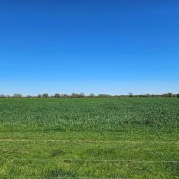 PRICE REDUCED 70 ACRES OF PEACEFUL LIVING images 3