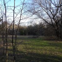 PRICE REDUCED 70 ACRES OF PEACEFUL LIVING images 4