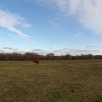 PRICE REDUCED 70 ACRES OF PEACEFUL LIVING images 5