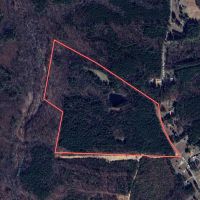 57.78 acres of Hunting Recreational Residential and Timberland For Sale in Brunswick County VA