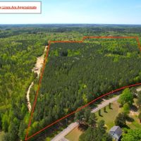 57.78 acres of Hunting Recreational Residential and Timberland For Sale in Brunswick County VA images 3