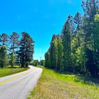 57.78 acres of Hunting Recreational Residential and Timberland For Sale in Brunswick County VA images 5