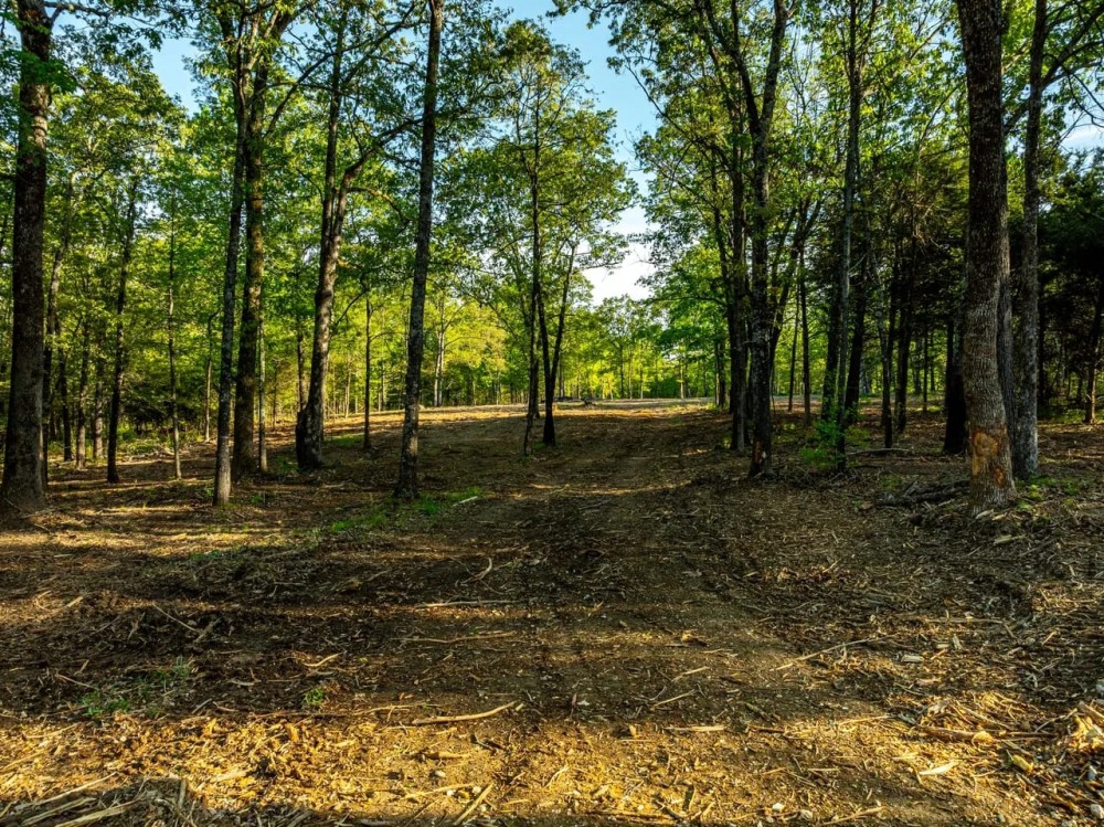 169 - Acres Hunters Paradise Pond Creek Poughkeepsie Arkansas featured image