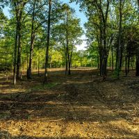 169 - Acres Hunters Paradise Pond Creek Poughkeepsie Arkansas