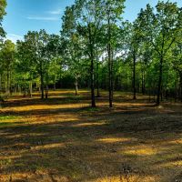 169 - Acres Hunters Paradise Pond Creek Poughkeepsie Arkansas images 2