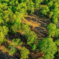 169 - Acres Hunters Paradise Pond Creek Poughkeepsie Arkansas images 3